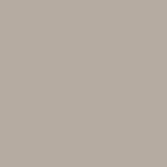 ColorFill Lichen Granite CF265