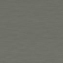 Alloy Brushed Titanium