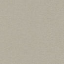 Prima Brushed Zinc (Matte 58) Feature Splashback