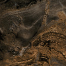 Prima Marbled Cappuccino (Etchings) Postformed