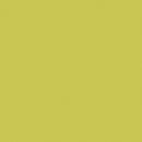 Prima Wasabi (Gloss) Feature Splashback