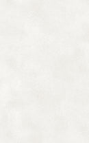 Artis Icicle (Metallic Gloss) Postformed