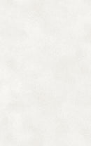 Artis Icicle (Metallic Gloss) Postformed (Old decor pattern) SALE