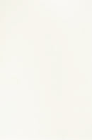 Mirostone Angel Solid Surface